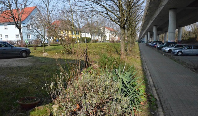 Vielfltige Entwicklungsmglichkeiten ... das Planungsbro Lin in Friedlingen.   | Foto: SENF
