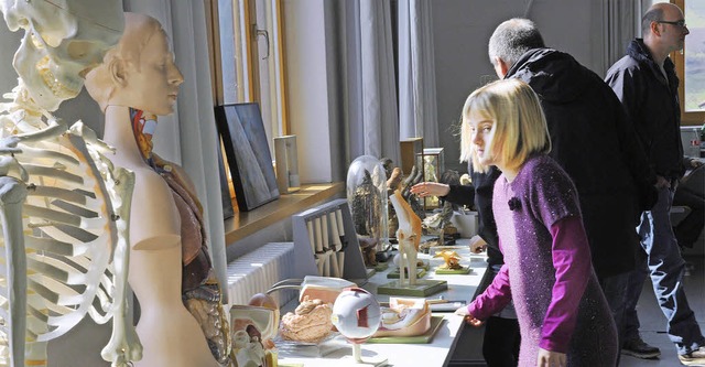 Allerlei naturwissenschaftliche Dinge ...nd- und Hauptschule Kollnau zu sehen.   | Foto: Fotos: Karla Kurz