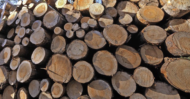 Holz ist das Thema bei der Privatwald-Tagung im September.  | Foto: dpa