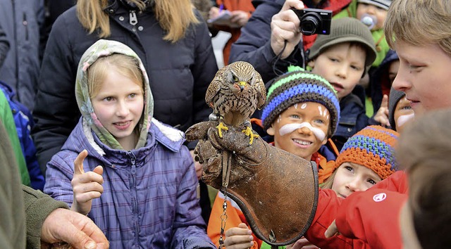 Falkner Ruchlak lsst den Seeadler fliegen und auch die Kinder ran.  | Foto: Rita Eggstein