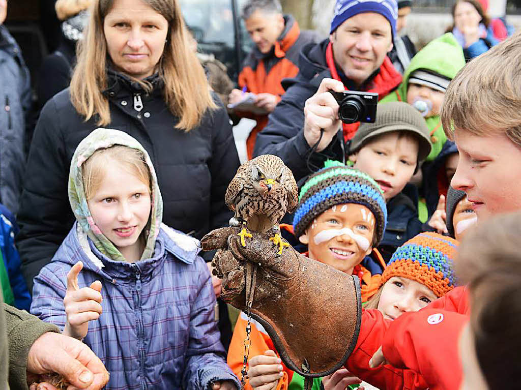 Falkner Ruchlak lsst den Seeadler fliegen und auch die Kinder ran.