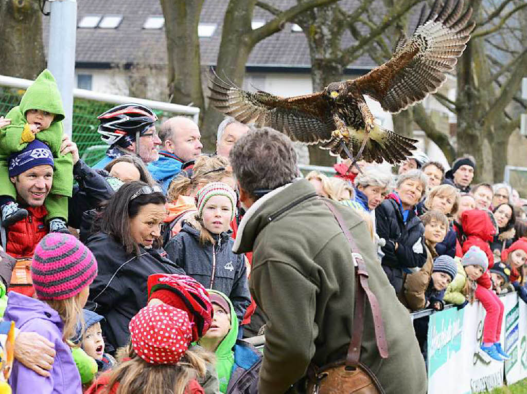 Impressionen von der Flugschau