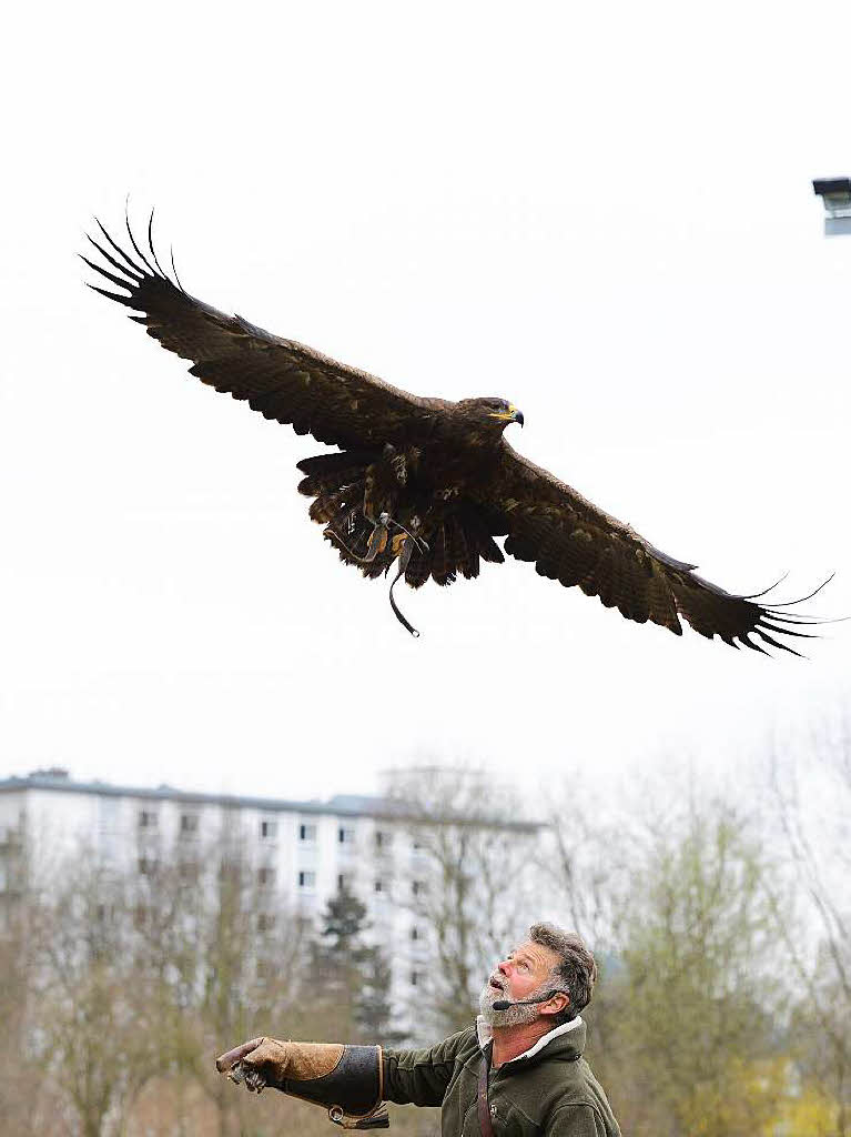 Impressionen von der Flugschau