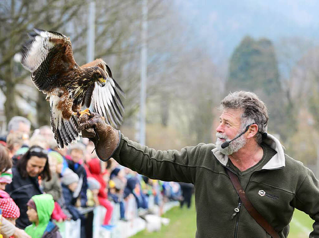 Impressionen von der Flugschau