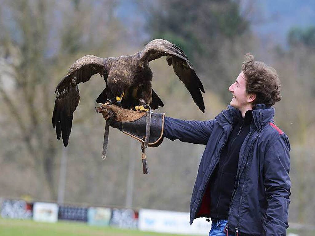 Impressionen von der Flugschau