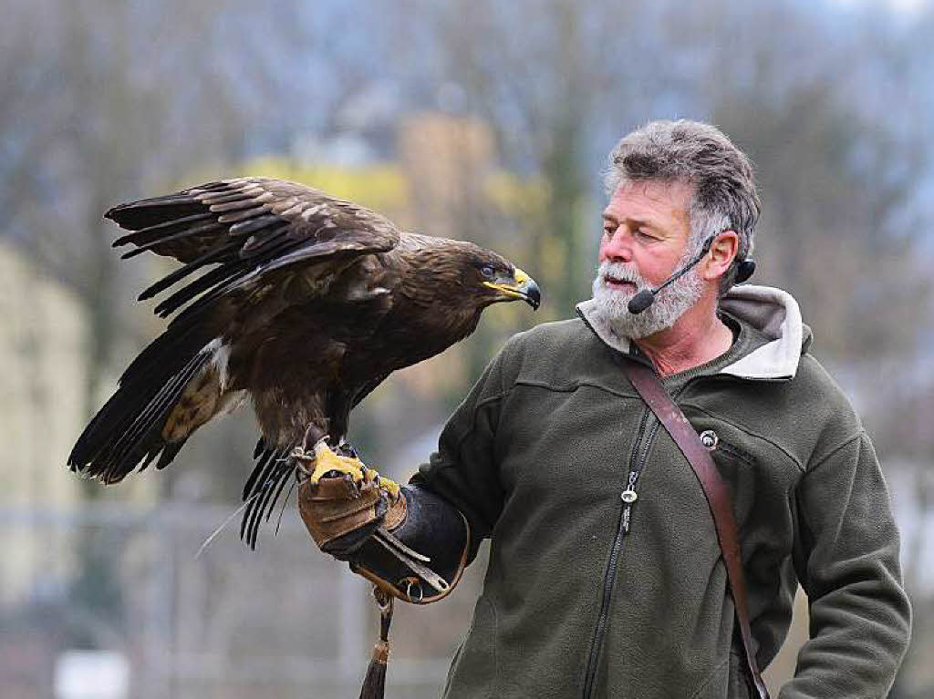 Impressionen von der Flugschau