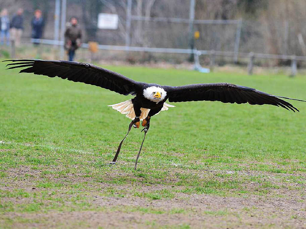 Impressionen von der Flugschau