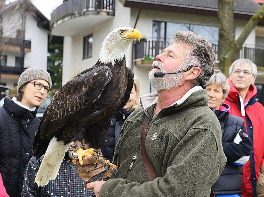 Impressionen von der Flugschau