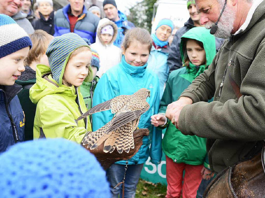 Impressionen von der Flugschau