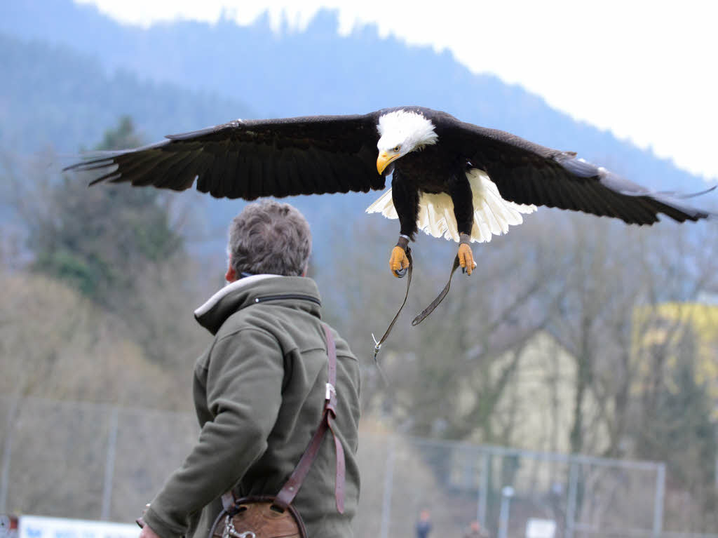 Impressionen von der Flugschau