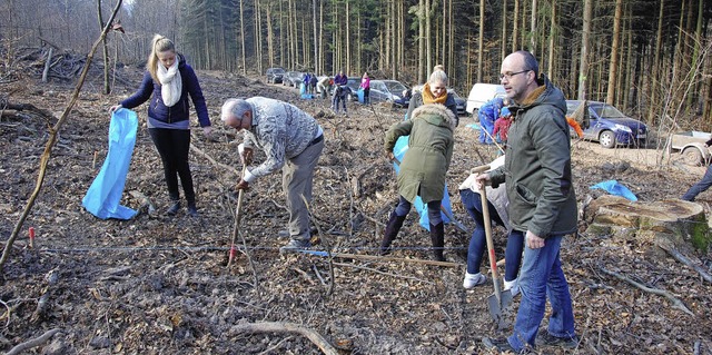 Gelungene Pflanzaktion: Brger helfen, ein Waldstck aufzuforsten.  | Foto: Stadt Herbolzeim