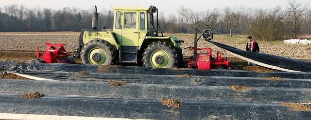 Fast automatisch zum Spargelfeld &#821...an dieser Tage bei Istein beobachten.   | Foto: Langelott