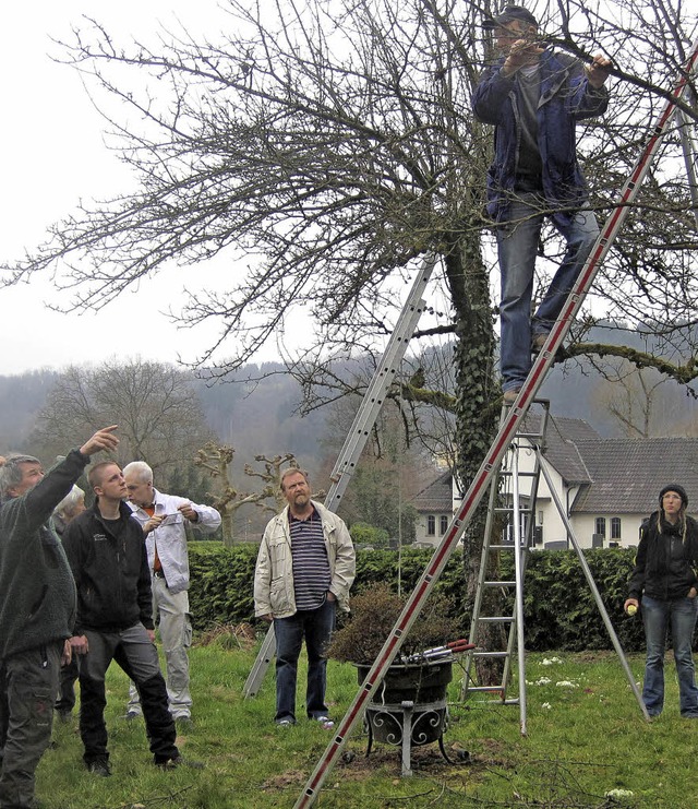 ben am lebenden Objekt: Peter Felber ...eilnehmern den richtigen Baumschnitt.   | Foto: Elena Butz