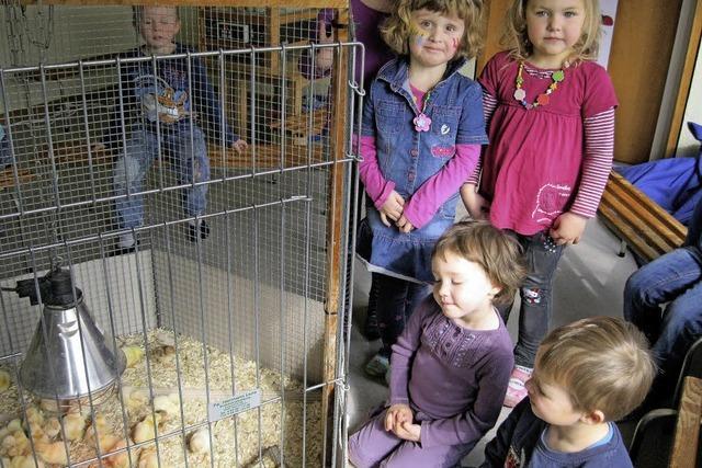 Kken schlpften im Kindergarten St.Konrad