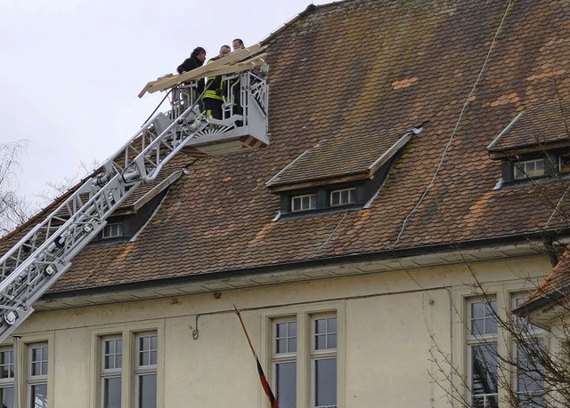 Dank der Feuerwehrleiter konnte das Nest aufs Dach gehievt werden.   | Foto: feuerwehr