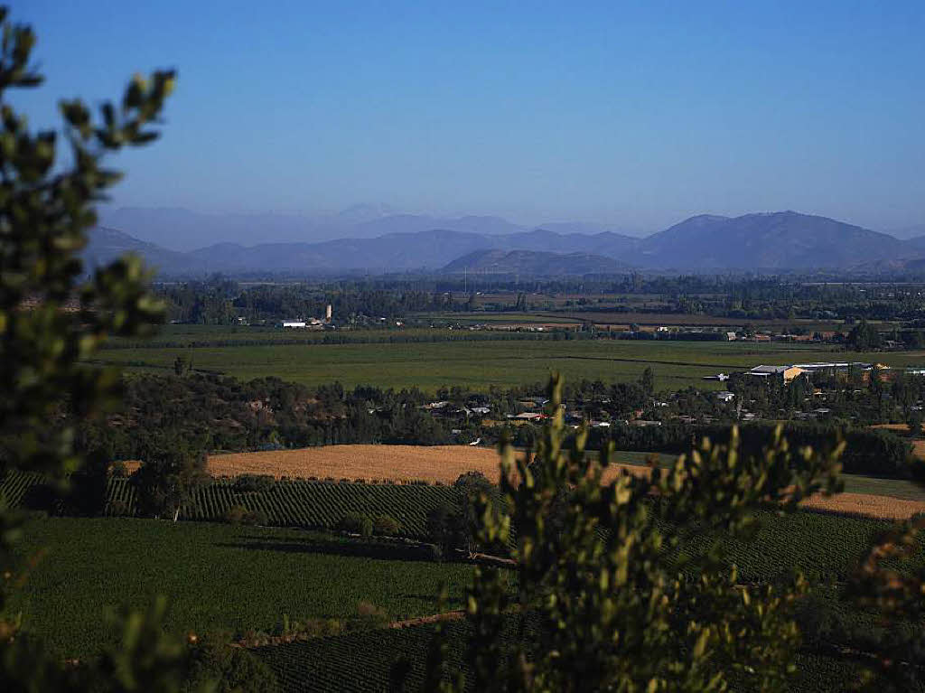 Fast wie im Kaiserstuhl: Weinanbau im chilenischen Santa Cruz