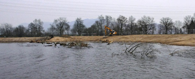 Eine Flachwasserzone und gefllte Bum...erqualitt des Gifizsees zu steigern.   | Foto: hsl