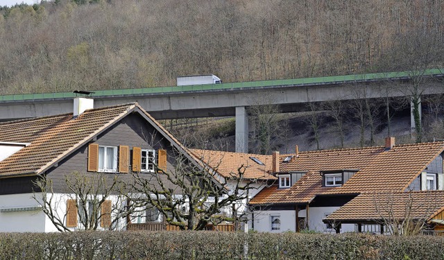 ber den Huser der Homburgsiedlung di... 98: Die Bewohner fordern Lrmschutz.   | Foto: Nikolaus Trenz