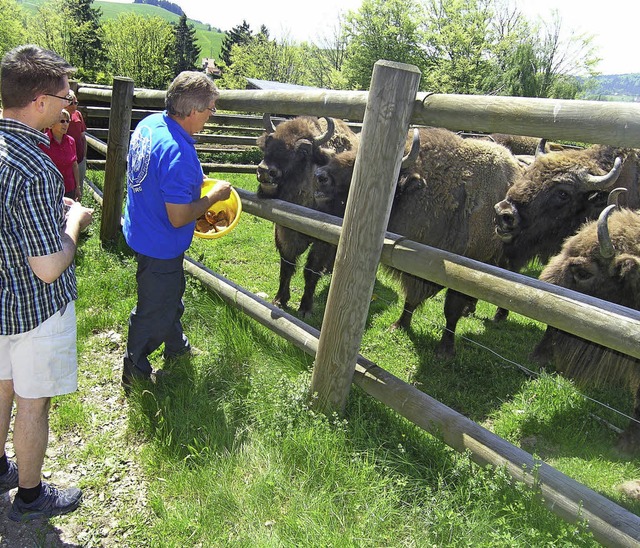 Das Gourmetfescht, bei dem auch Abstec...mm gehren, ist fr Gersbach wichtig.   | Foto: archivfoto: Rolf Strohm