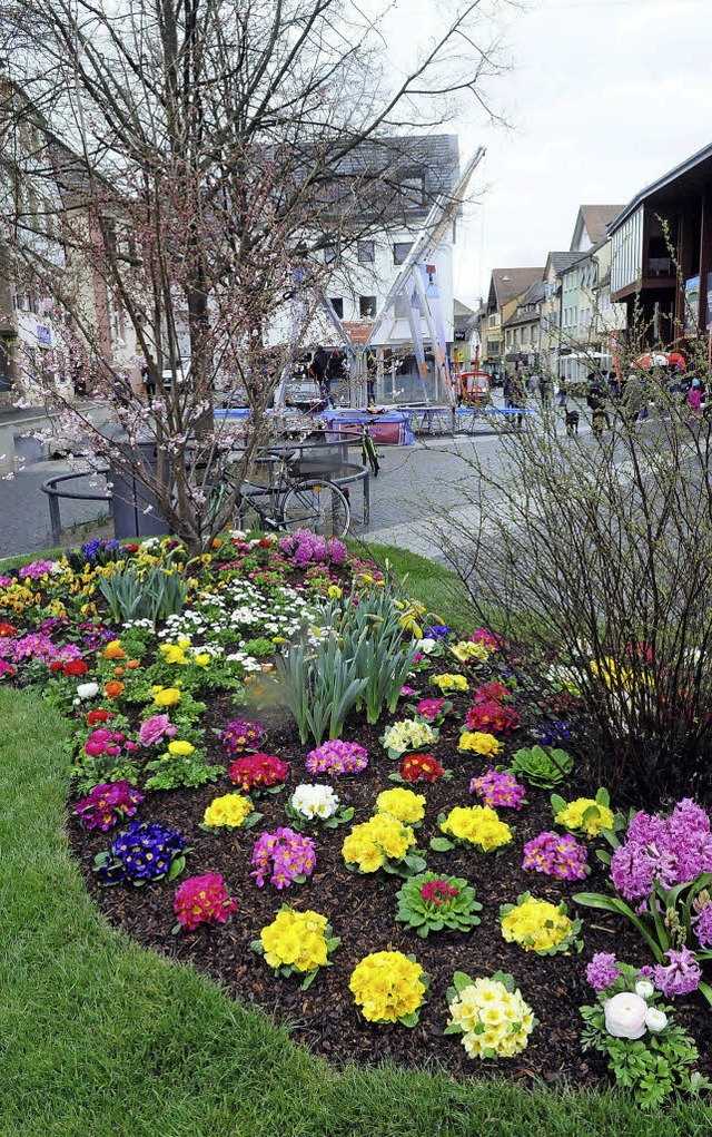 Auch die farbenprchtigsten Blumen ver...r in die Lahrer Innenstadt zu locken.   | Foto: fotos: wolfgang knstle