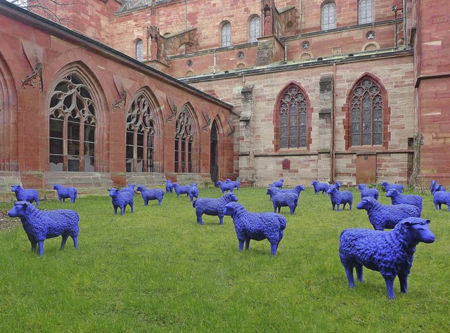 Bis Mitte Mrz stehen 50 Schafe aus Po...Blau steht dabei fr das Verbindende.   | Foto: Christoph Zacher