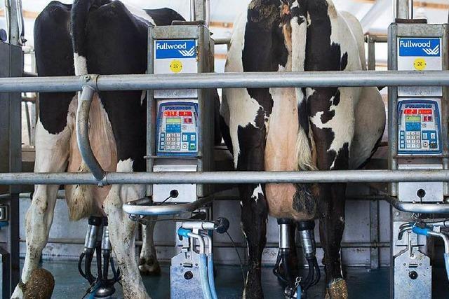 Ende der Milchquote – sterben jetzt mehr Höfe?