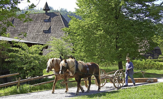 Idyllischer  Fleck mit stndig wechsel...geboten: das Freilichtmuseum in Gutach  | Foto: museum