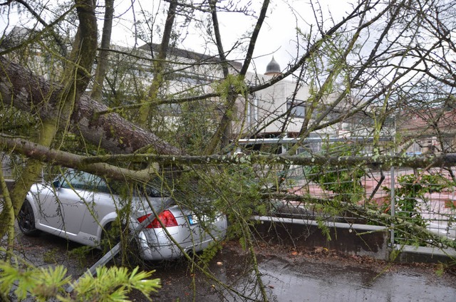 Sturmtief Niklas hat am Dienstag in Of...n &#8211; und einen Audi plattgemacht.  | Foto: Ralf Burgmaier