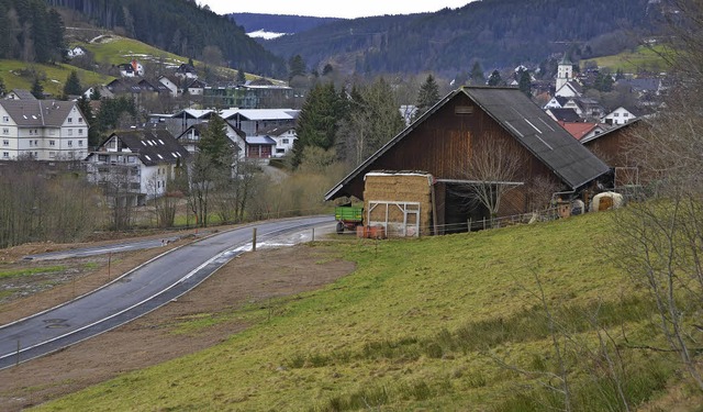 Mit dem  Verkauf von Baupltzen im Nie...Gemeindehaushalt ausgeglichen werden.   | Foto: Ralf Morys