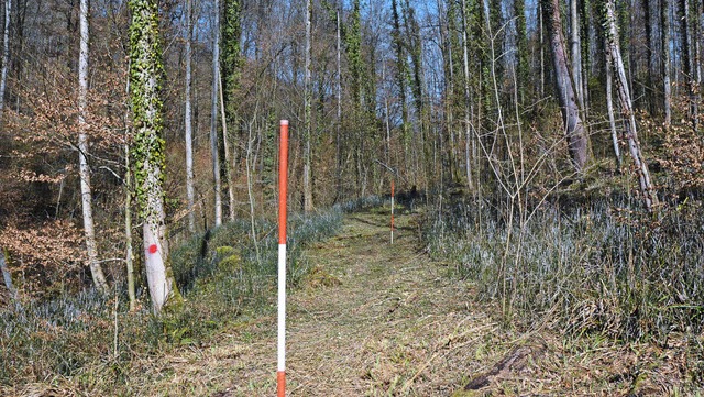 Die rotweien Stangen kennzeichnen den...eter langen  Weg, der den Bach umgeht.  | Foto: Heinz u. Monika Vollmar