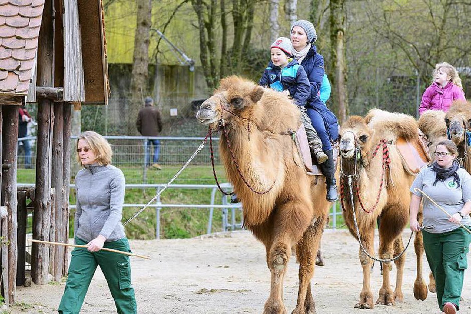 Kinder und Tiere … eine super Kombination (Foto: Rita Eggstein) Kinder und Tiere … eine super Kombination (Foto: Rita Eggstein)