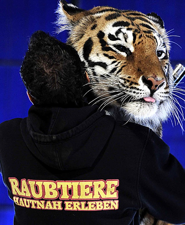 Christian Walliser und einer seiner Tiger.  | Foto: Thomas Kunz