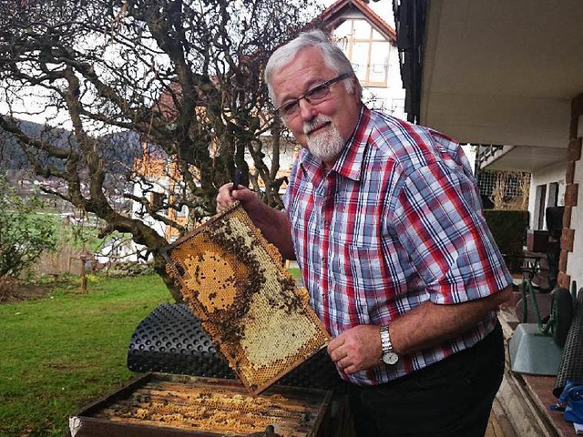 Klaus Schmieder vertrgt rund 100 Bienenstiche.  | Foto: Katharina Meyer