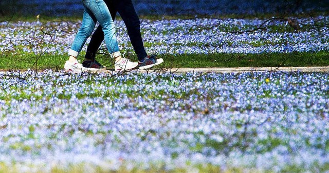 Der Frhling hlt in Sdbaden Einzug.  | Foto: dpa