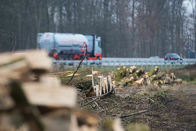 Wie hier an  der A5 nrdlich von Offen...in der Ortenau Eschen gefllt werden.   | Foto: Habura