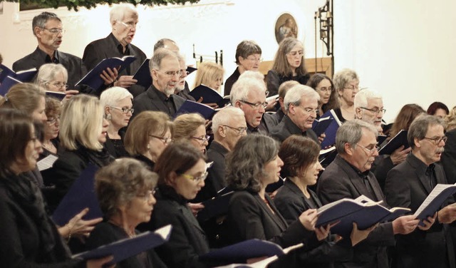 Der Motettenchor beim Konzert in St. Fridolin   | Foto: Antje Gessner