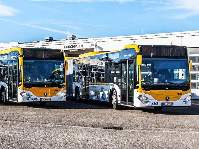 Neue Busse  im Landesdesign  | Foto: BZ