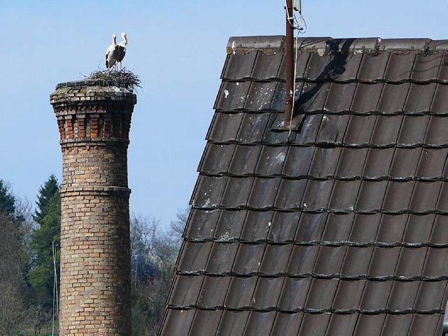 Strche versuchen sich am Nestbau  auf dem Kamin der ehemaligen Tonofenfabrik.  | Foto: Stadt