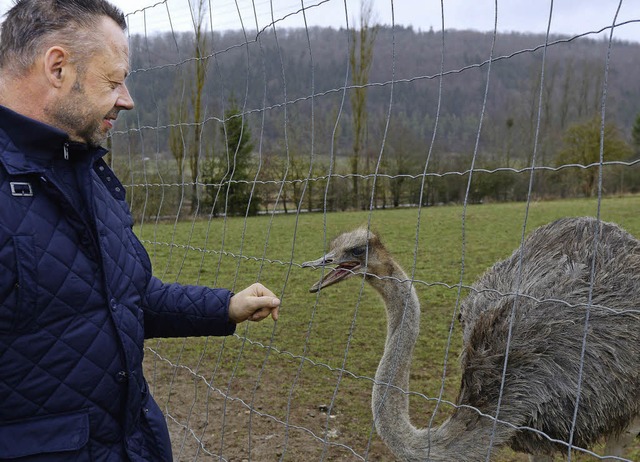 Bauer Ingfried Kurz mit einem seiner 20 Tiere  | Foto: dpa