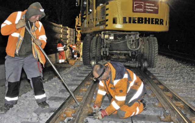 Auch wenn groe Maschinen helfen tonne...erung per Hand nicht verzichtet werden  | Foto: Markus Zimmermann               