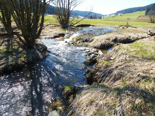 Das Wasser hat sich einen neuen Weg gesucht.  | Foto: Peter Stellmach