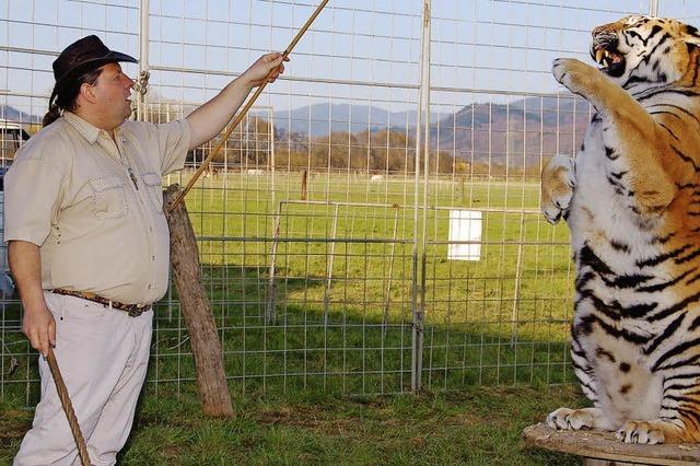 Zirkus Weisheit: Tiger Sahib ist der heimliche Star