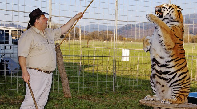 Tiger-Dompteur Sascha Prehn (34) vom Zirkus Weisheit und sein Tiger Sahib.  | Foto: Andrea Steinhart