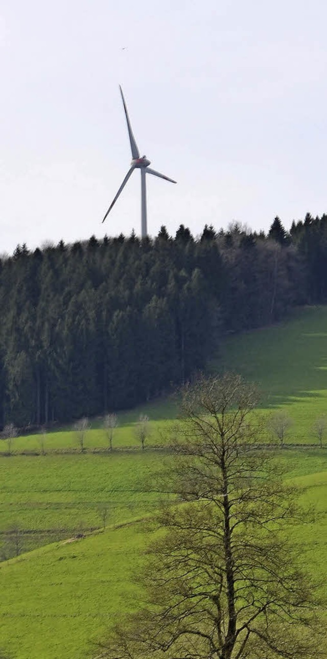 Windkraftanlage Tnnlebhl: Blick  von Siegelauer Strae   | Foto: N.Bayer