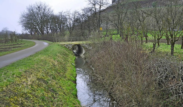 Auch beim Krebsbach gibt es sowohl opt... auch kologisch noch Luft nach oben.   | Foto: Julius Steckmeister