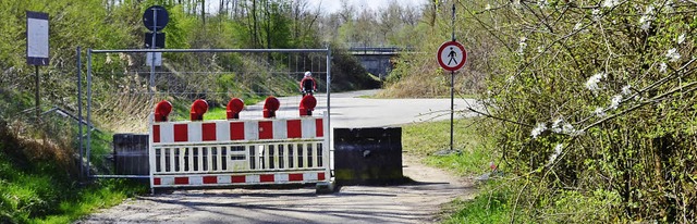 Erholungssuchende lassen sich von den ...ht von einer Tour zum Rhein abhalten.   | Foto: Langelott