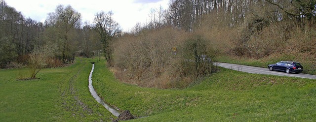 Das Regenrckhaltebecken sdlich von Z...rechts die Kreisstrae nach Diersburg   | Foto: Rderer