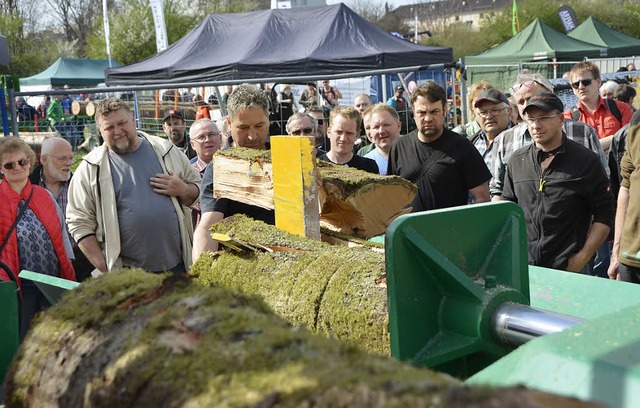 Sgen, spalten, schnitzen, hckseln: W...usstellung Wild und  Fisch in Halle 1.  | Foto: Helmut Seller