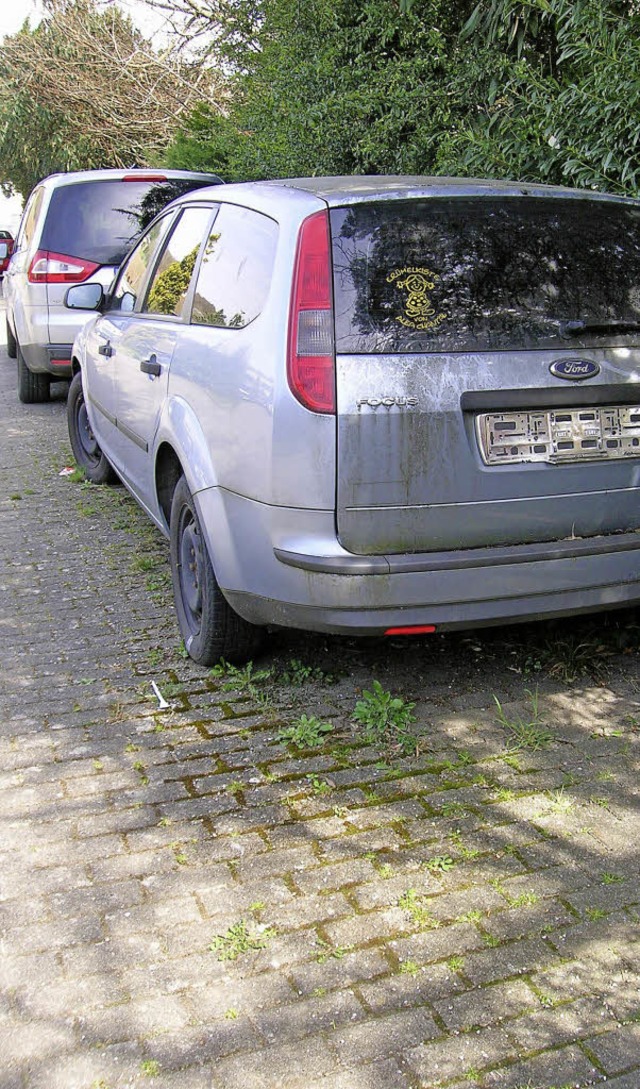 Ein Problem: Ein abgewracktes Auto auf privatem Grund.  | Foto: Jahn