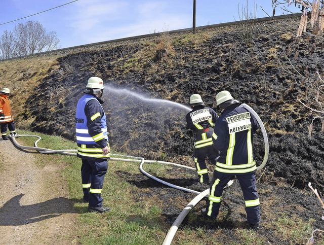 Die Feuerwehren aus Rtenbach und Frie...tern einen Brand am Bahndamm lschen.   | Foto: Kamera 24